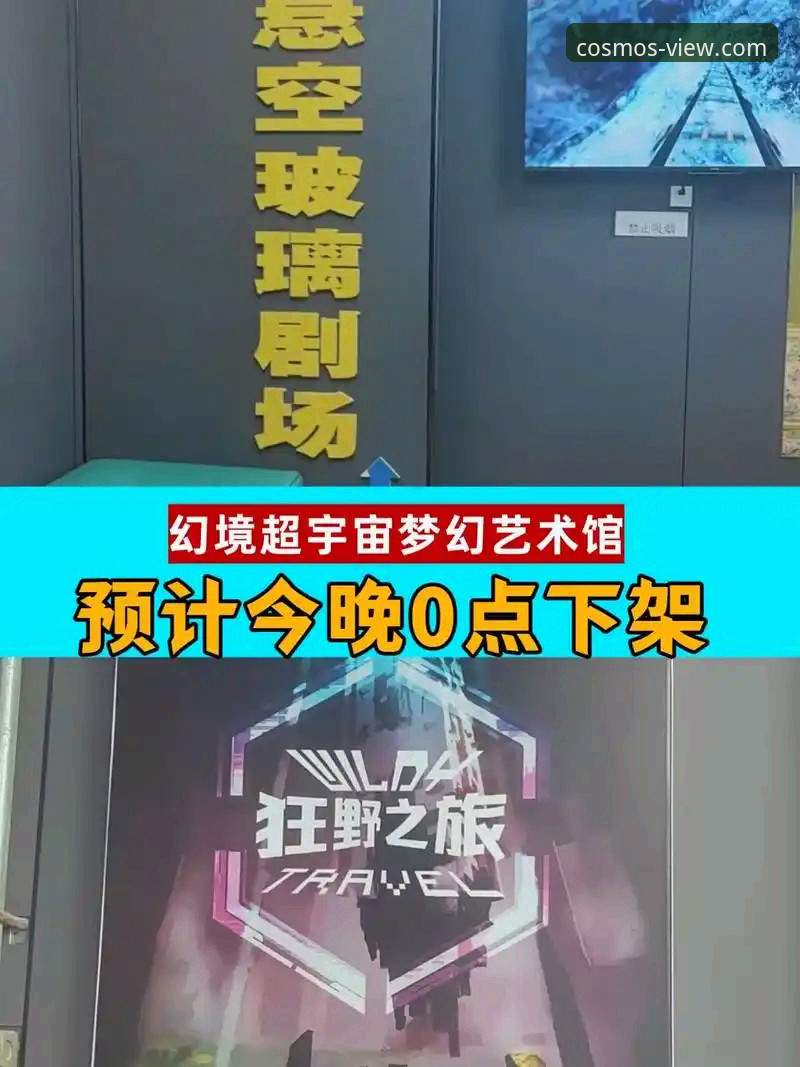 广东vs宁波逆转之战：与星空娱乐平台观赛体验的全面对比